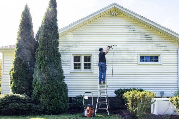 Best Pressure Washing Services Near Me  in Ruthers, CA