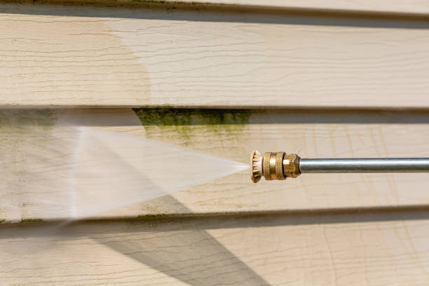 Best Local Pressure Washing Services  in Ruthers, CA